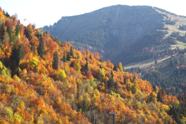 Staufenblick Landhaus (Oberstaufen)